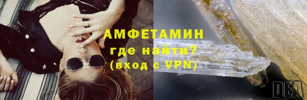 шишки Няндома