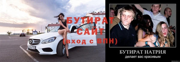 шишки Няндома