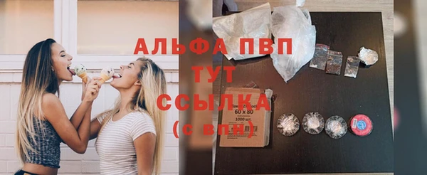 шишки Няндома