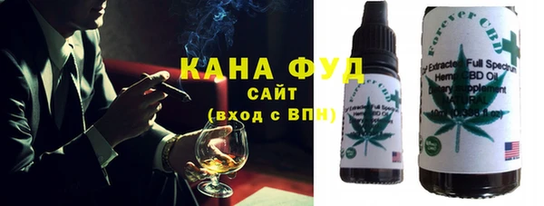 шишки Няндома