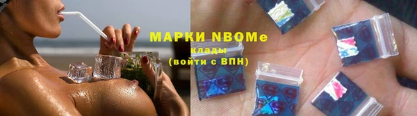 гашик Новозыбков