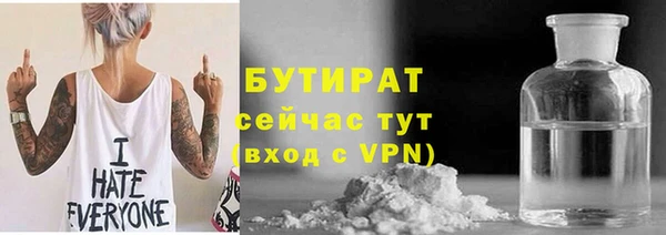 шишки Няндома