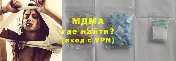 шишки Няндома