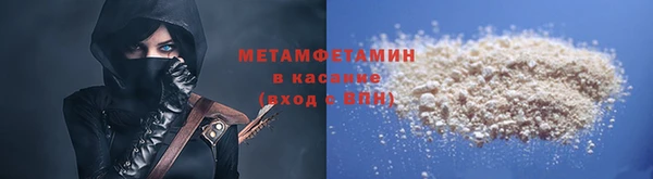 шишки Няндома