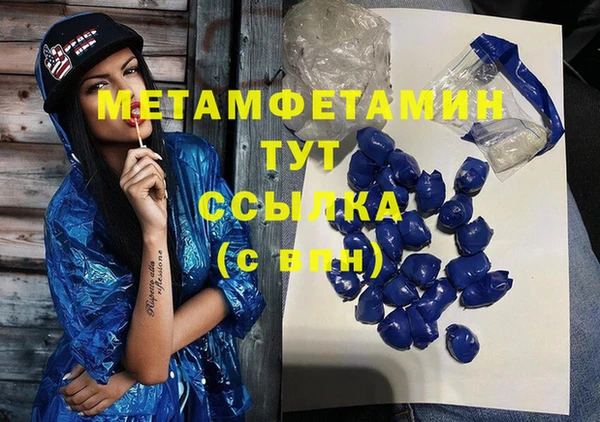 шишки Няндома