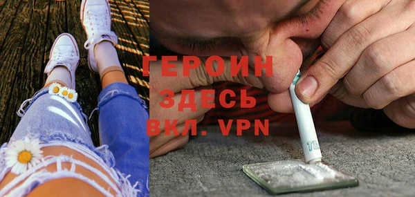 шишки Няндома