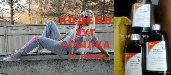 шишки Няндома
