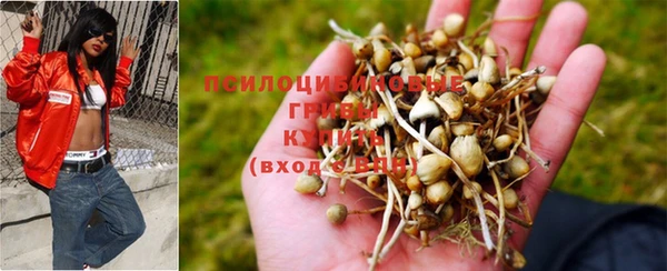 спайс Нязепетровск