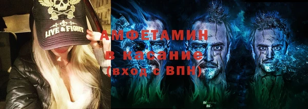 шишки Няндома