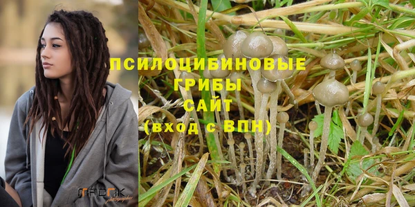 шишки Няндома