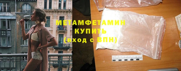 шишки Няндома