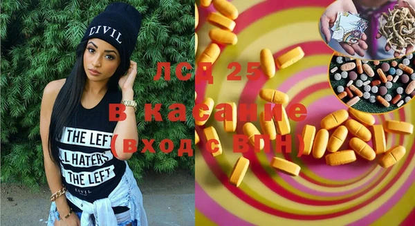 шишки Няндома