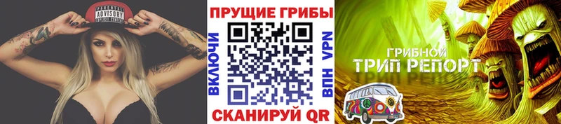 Галлюциногенные грибы мухоморы  как найти закладки  Таштагол 